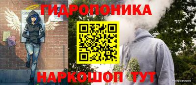 МДПВ Пушкино