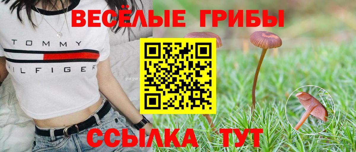 Галлюциногенные грибы GOLDEN TEACHER Острогожск